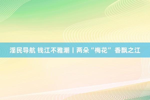 淫民导航 钱江不雅潮丨两朵“梅花” 香飘之江